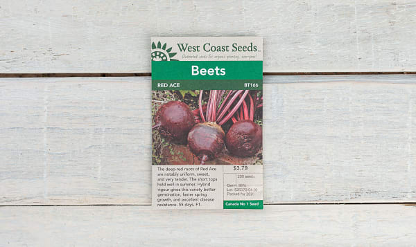  Red Ace  Beet Seeds F1