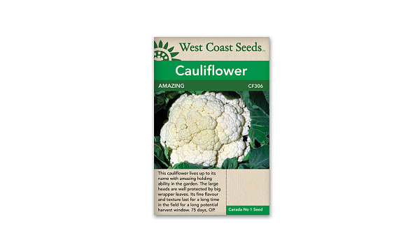  Amazing  Cauliflower Seeds