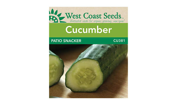  Patio Snacker  Cucumber Seeds
