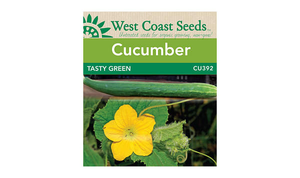  Tasty Green  Cucumber Seeds