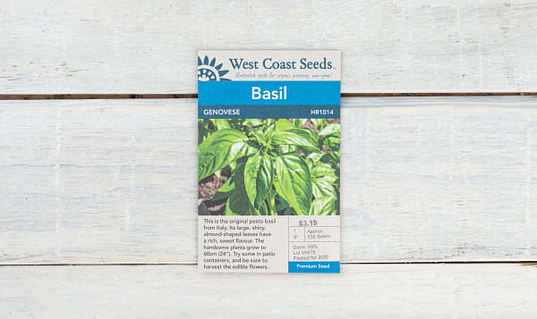  Genovese  Basil Seeds