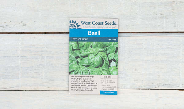  Lettuce Leaf  Basil Seeds