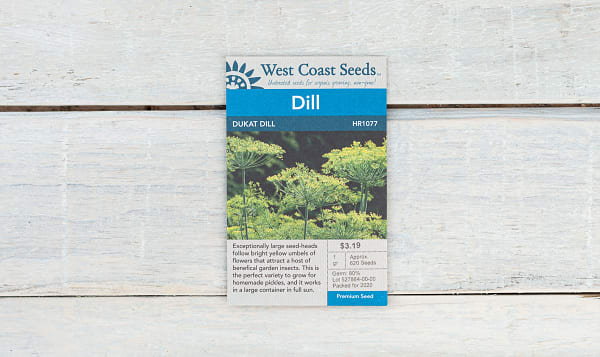  Dukat  Dill Seeds