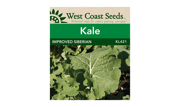 'Improved Siberian  Kale Seeds (OP)