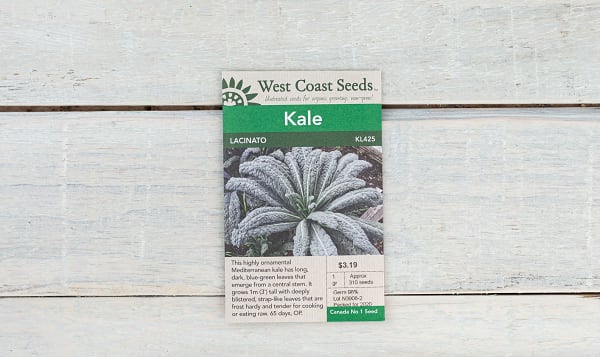  Lacinato  Kale Seeds (OP)