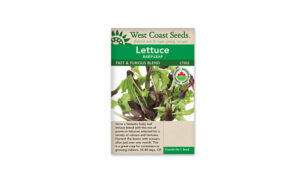Organic Fast and Furious Salad Greens Blend