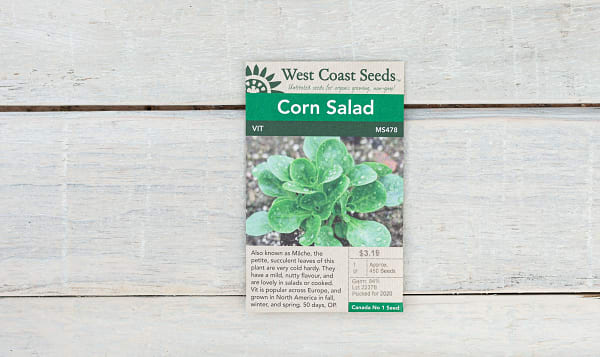  Vit Corn Salad  Lettuce Seeds