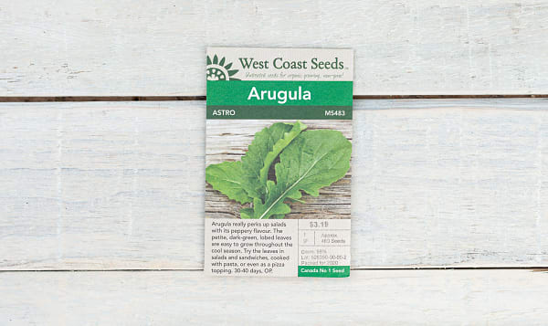  Astro Roquette  Arugula Seeds (OP)
