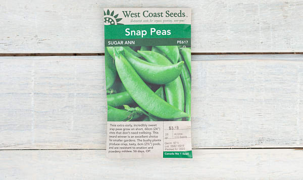  Sugar Ann  Pea Seeds (OP)