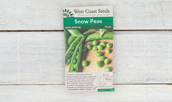  Avalanche  Snow Pea Seeds