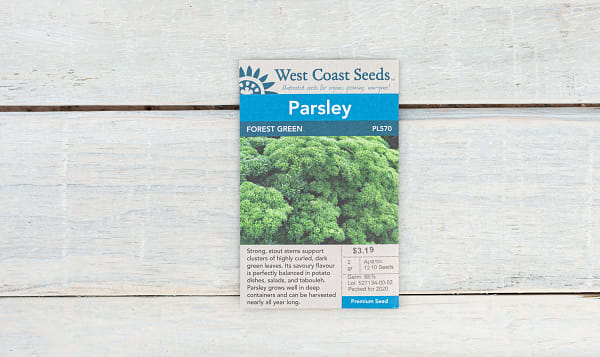  Forest Green  Parsley Seeds