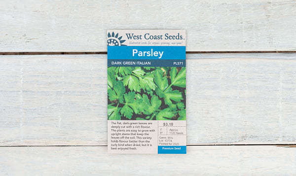  Dark Green  Italian  Parsley Seeds