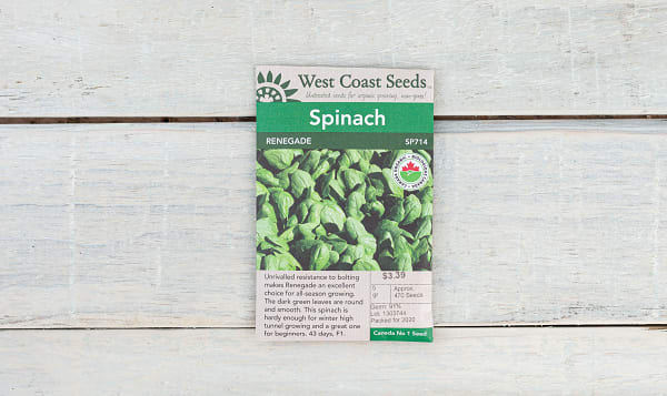Organic  Renegade  Spinach Seeds F1