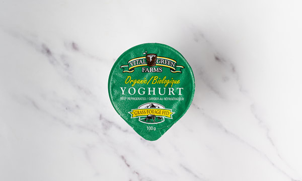 Organic Grass-Fed 7% Yogurt - Raspberry