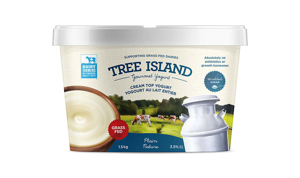 Cream Top Plain Yogurt