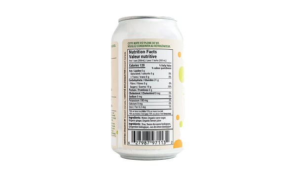 Organic Ginger Beer - Original