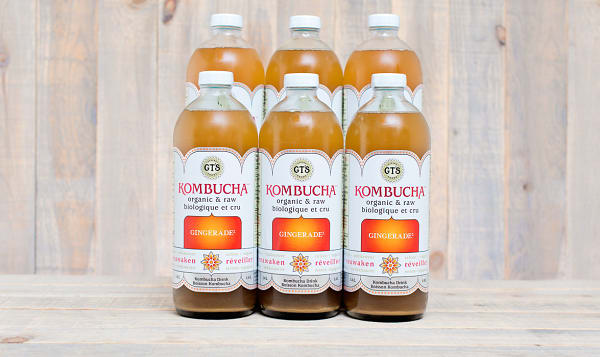 Organic Gingerade Kombucha - CASE