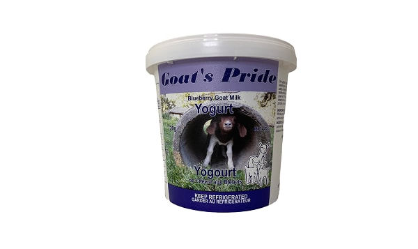 Whole Goat Milk Blueberry Yogurt