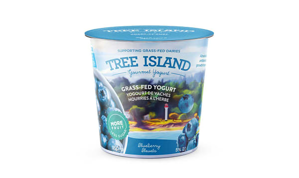 Blueberry Yogurt