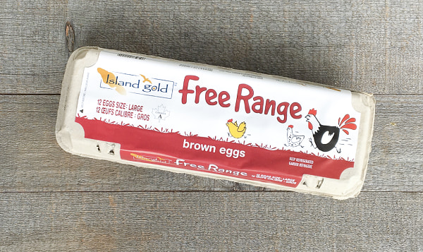 About Us - Open Range Free Range Eggs