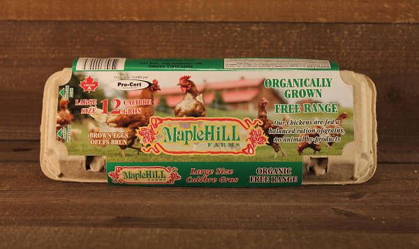 Organic Eggs - Large