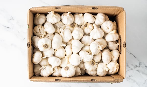 Organic Garlic, Case