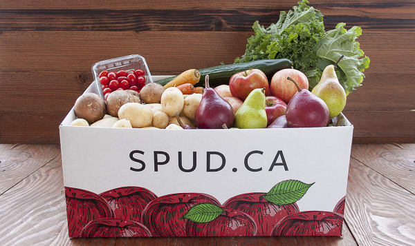 Best of Alberta Produce Selection