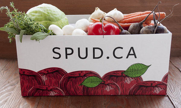 Organic Roasting Vegetables Box