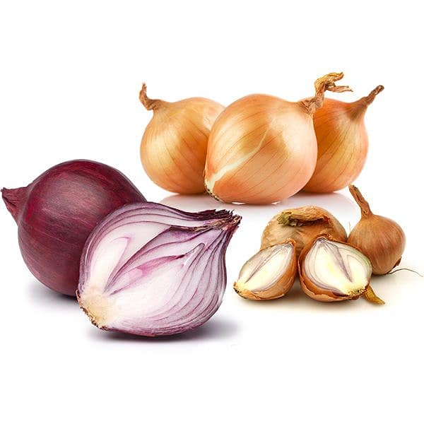 Organic Onion Mix