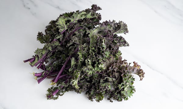 Organic Kale, Red - MEX/US