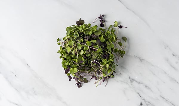 Local Organic Microgreens, Brilliant Blend