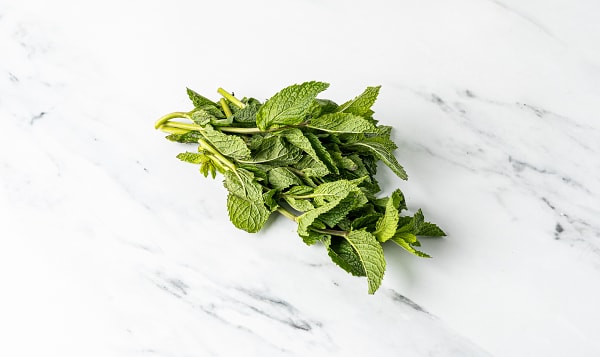 Mint, bunched