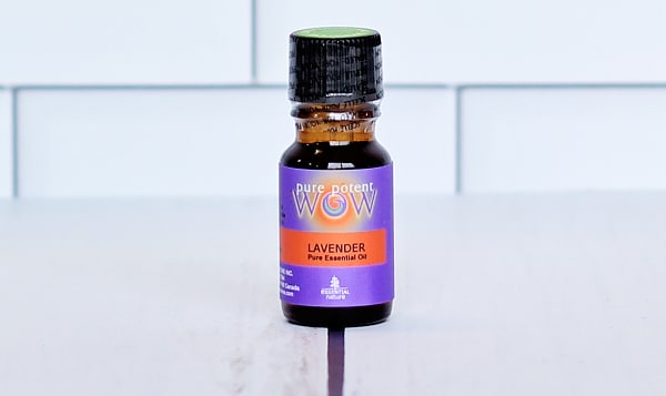 Organic Lavender, Angustifolia