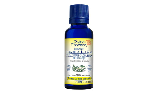 Organic Essential Oil - Eucalyptus Blue Gum