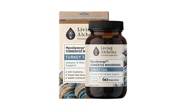 Organic Turkey Tail: Immune & Microbiome Support
