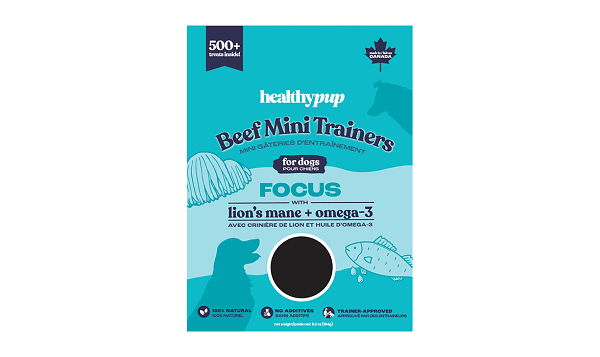 Mini Trainers