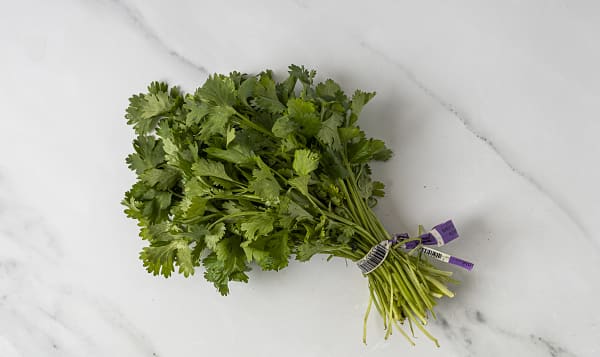 Organic Cilantro