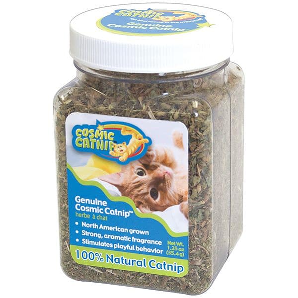 Cosmic catnip online