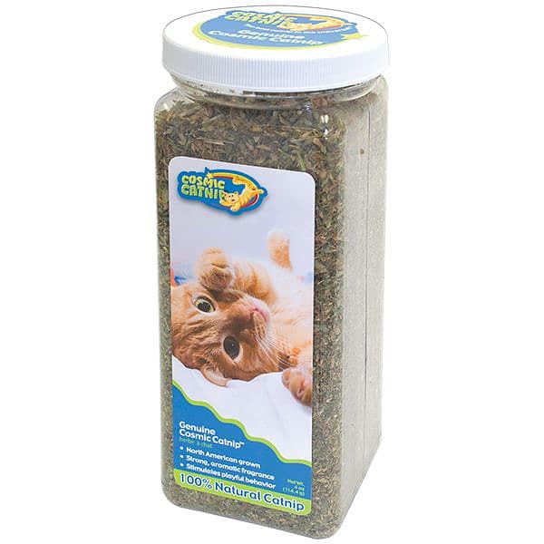 Cosmic catnip top