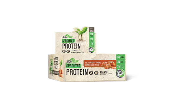 Sprouted Protein Bar - Sweet and Salty Caramel - CASE