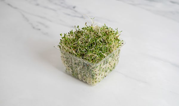 Local Organic Sprouts, Alfalfa