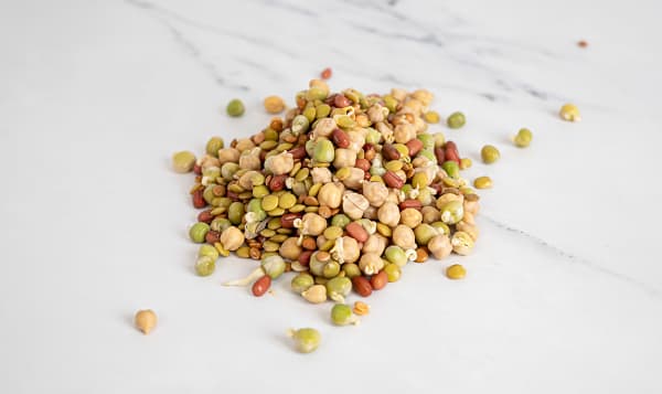 Local Organic Sprouts, Mixed Bean