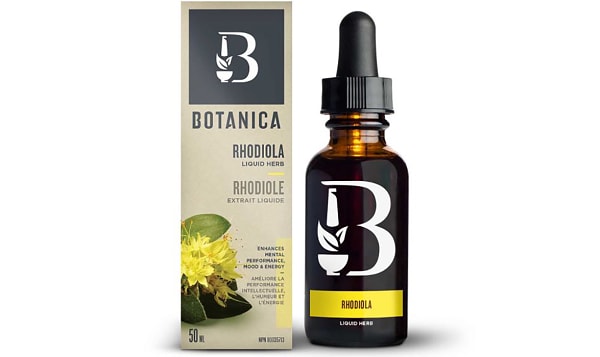 Rhodiola - Adrenal Support, Adaptogen