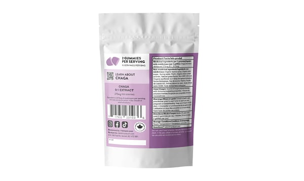 ENDURANCE Chaga Gummies - Grape