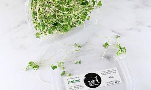 Local Microgreens, Broccoli - Compostable materials- Code#: PR147368LCN