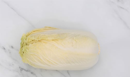 Organic Cabbage, Napa (Sui Choi)- Code#: PR217222NCO