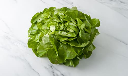Local Organic Lettuce, Butter - Green or Red- Code#: PR100147LCO