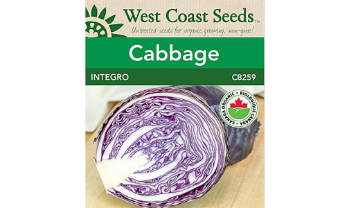 Organic Integro F1 Cabbage, Coated- Code#: BU0524