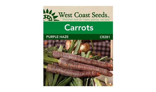  Purple Haze  Carrot Seeds- Code#: BU1787