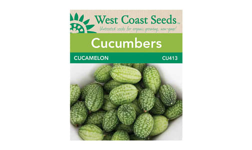  Cucamelon  Gherkin Cucumber Seeds- Code#: BU1800